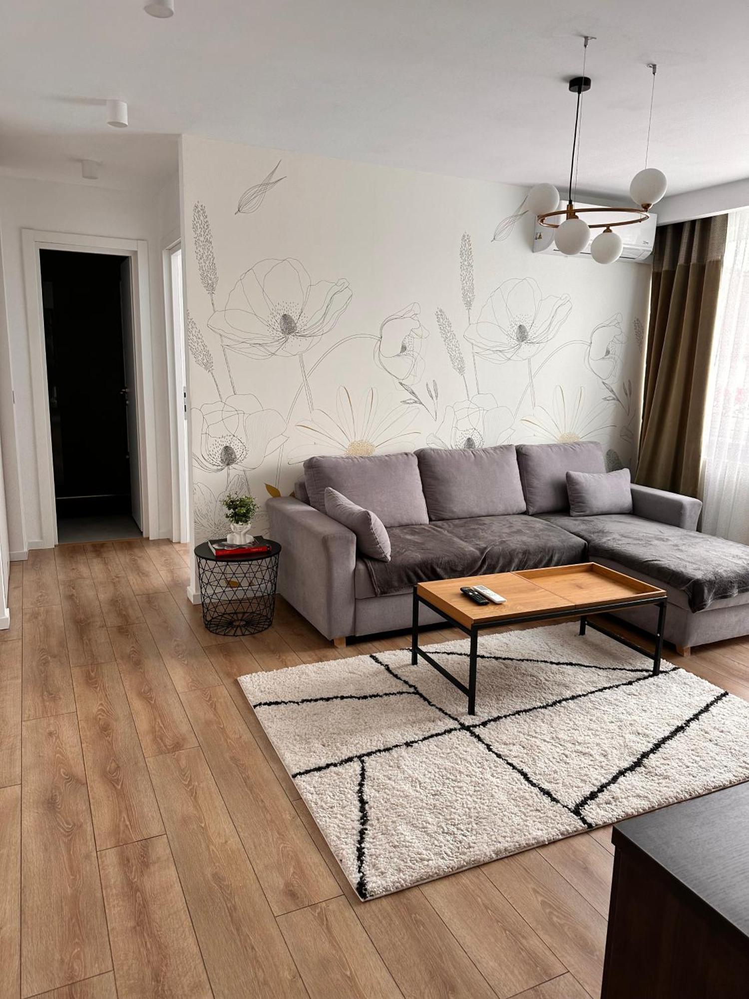 Apartment Dreambed 2 Baia Mare