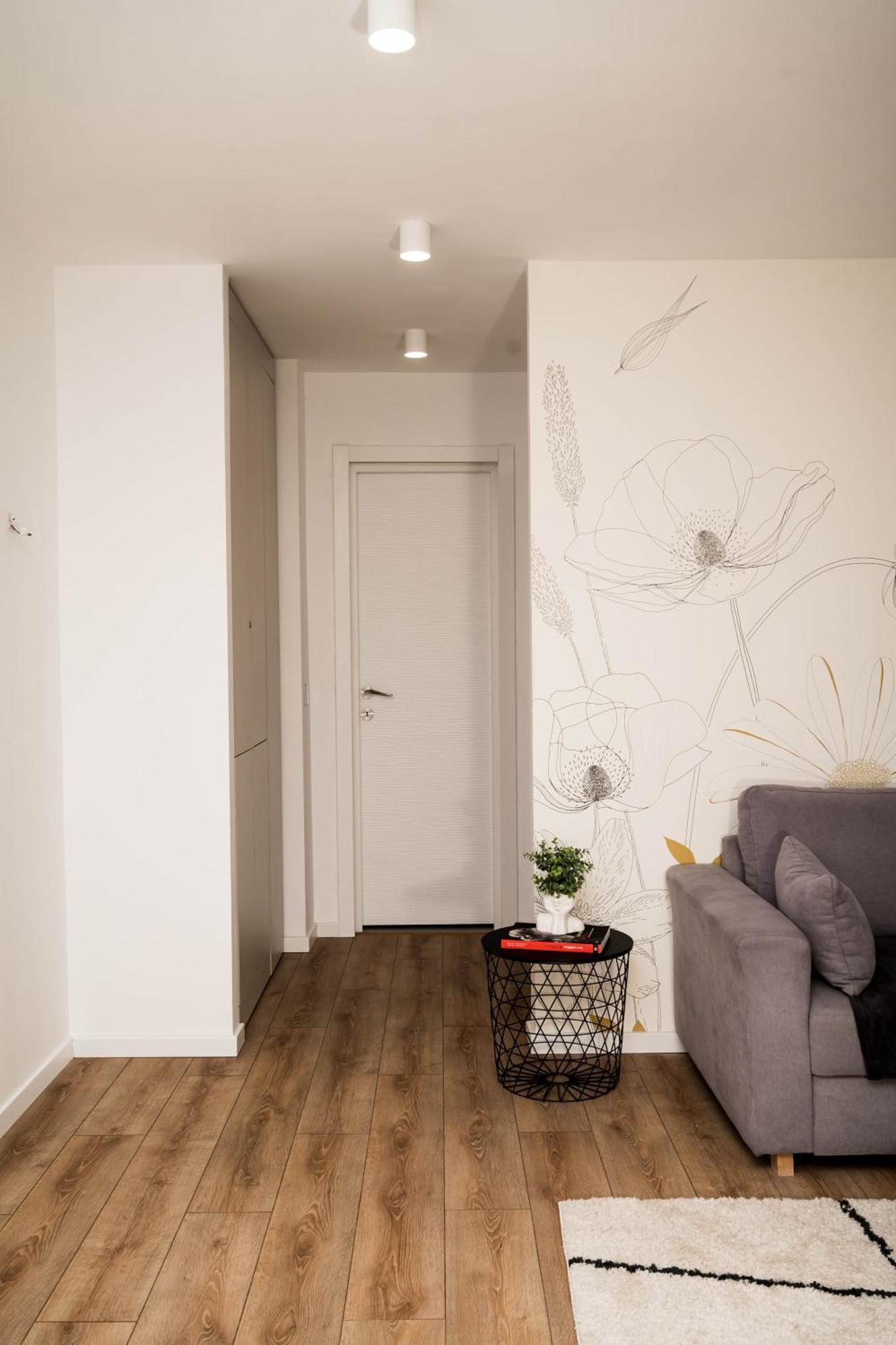 Apartment Dreambed 2 Baia Mare