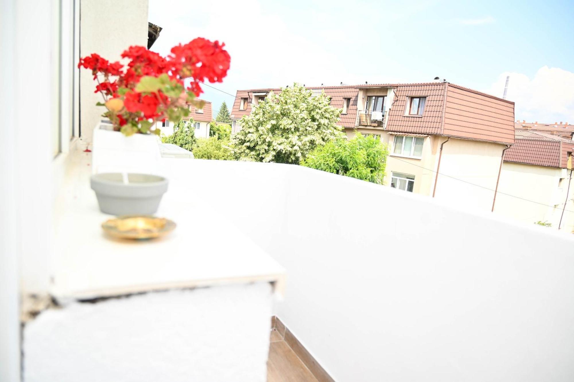 Dreambed 2 * Baia Mare